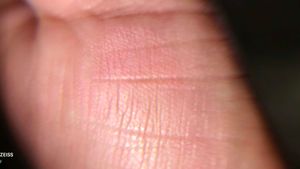 N. KOREAN PUFF BLUSH