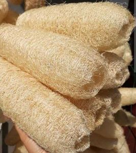 Natural Loofah