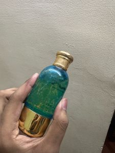 Envy Elegant Perfume Premium &amp; Long lasting