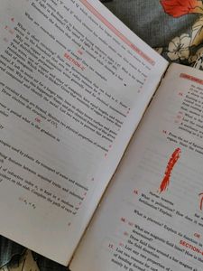 Class 10 - Golden Science Guide (With SamplePaper)