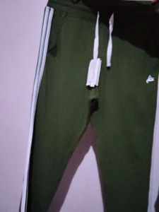 Anti Culture Olive Lower