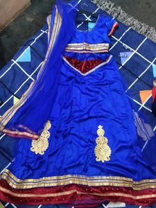 Blue Embellished Lehenga Choli