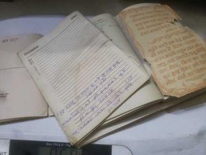 Very Old Diaries Plain