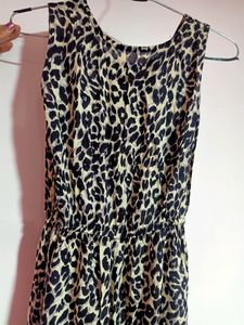 Leopard Print Dress