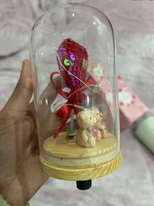 Teddy Bear Dome Light Decor