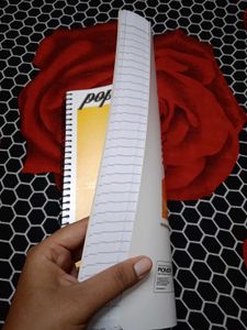 Pioneer Popular Notebook