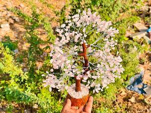 Natural Rose Quartz Gemstone Chips Tree