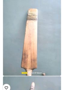 Willow Cricket Bat