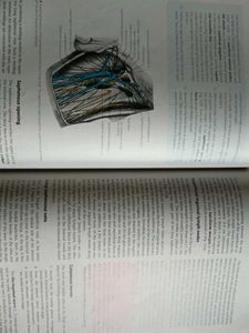Anatomy Manual: Upper &amp; Lower Limbs