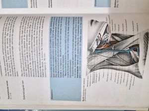 Cunningham&#39;s Manual Of Practical Anatomy! (3 Vol.)