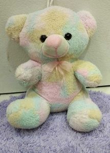 Multicolored Teddy Bear
