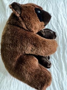 Toy Teddy Bear