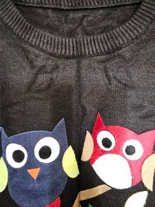 Shein Sweater With Owl Embroidery