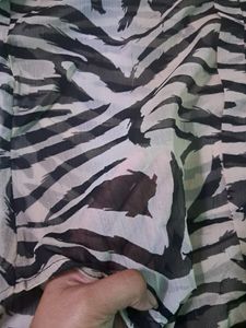 Sheer Shirt