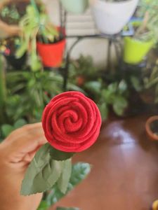 ROSE RING BOX ON SALE