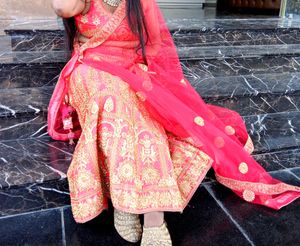 Heavy Embroidered Lehenga Choli 💕