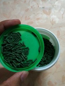 Turtle Food New