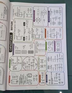 Neet 2025 Study Materials Xylem 📚🩺
