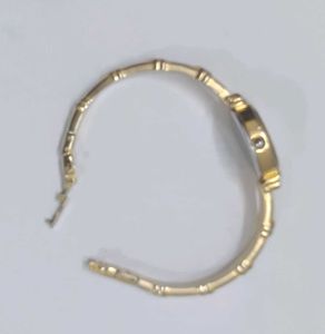 Titan Raga 18 Carat Gold Plated Watch