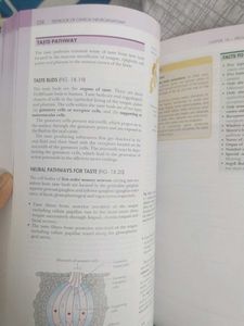 Clinical Neuroanatomy Textbook