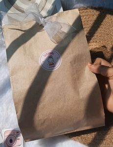 Solid Party Bags / Paper Bags (20 Pcs)