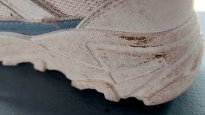 White Sneakers Small