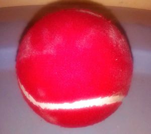 Red Tennis Ball