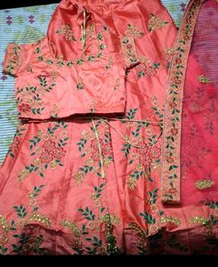 Embroidered Lehenga Choli Set🌸🌷💗