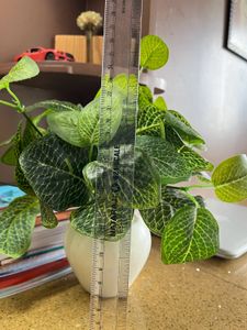 Artificial Plant