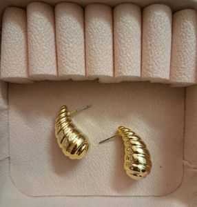 Textured Drop Golden Earrings.