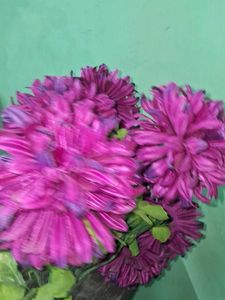Floral Arrangement