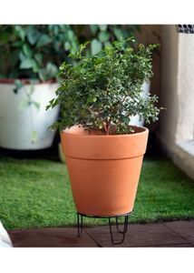 Pack Of 7 Outdoor Black Metal Plant Stands