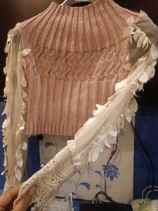 Elegant Knit Top with Sheer beautifull Sleeves