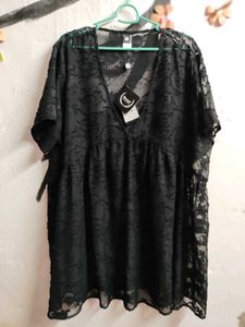 Korean Top Net
