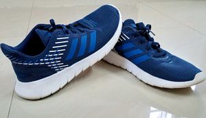 Adidas Blue Sneakers/Sports Shoes