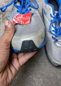 Puma Imported Sports Shoes 👟