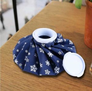 Reusable Ice Pack