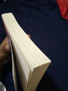 Too Good to Be True Novel