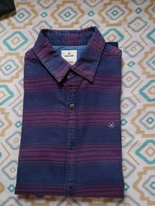 Striped Button-Down Shirt