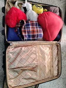 Trolly Bag Set Of Two