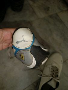 PUMA Shoes