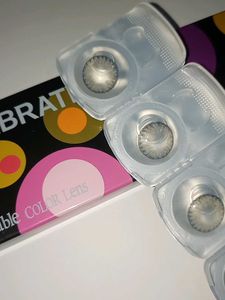Grey Contact Lenses