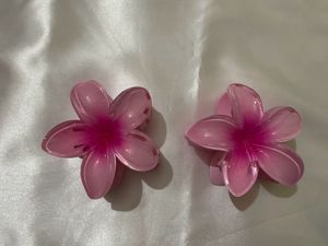Hair Clip