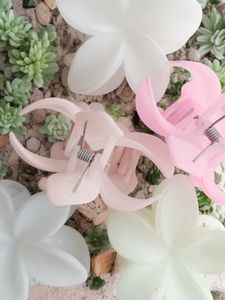 Set of 5 Pastel Flower Design Medium Hair Claw