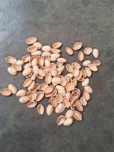 Pistachios Shells 110 Pieces