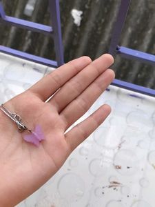 Butterfly Watch Charm With Earrings And Choker