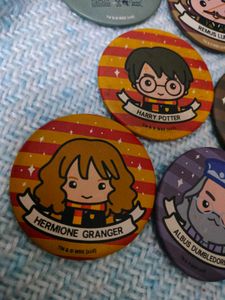 Harry Potter Souled Store Badges