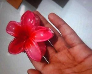Claw Clip