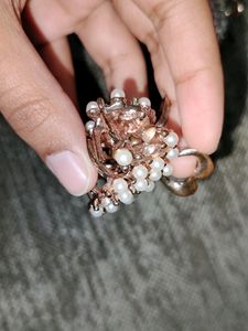 Combo of 2 Fashionable Hair Clips