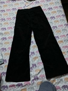 Wide Leg Velvet (Cotrise)Pants